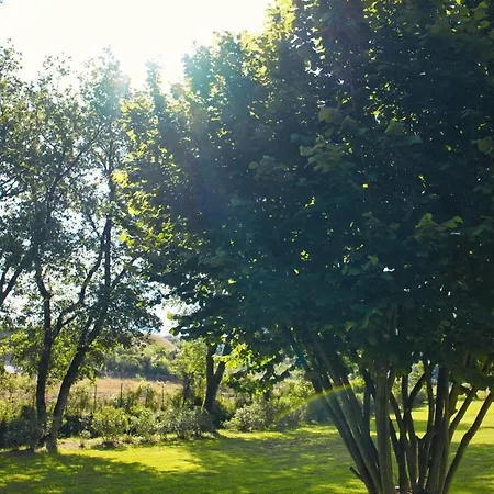 Casale La Poiana 招待所 卢卡